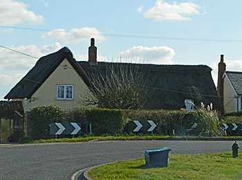 Synehurst February 2016