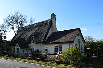 The Hedges February 2016