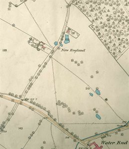 New England 1882