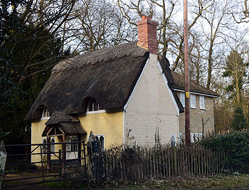 White Wood Lodge February 2013