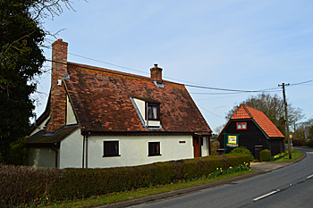 Little Pyghtle March 2016