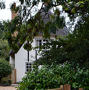 The Elms October 2016