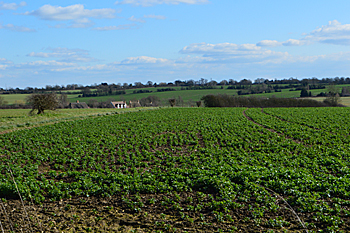 View south from the church February 2016