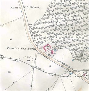 Knotting Fox in 1884
