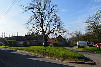 The Green April 2015
