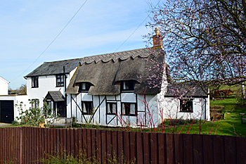 Mill Hill Cottage March 2016