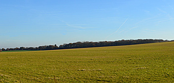 Flitwick Wood seen from Flitwick Road 1st December 2016