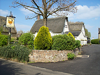 The Fox Public House 2017