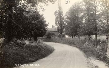 Cockayne Hatley Z1306-55-6