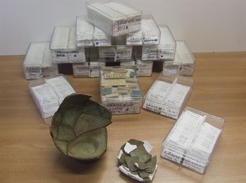 Wharley End hoard