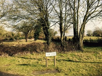 Site of Bushel and Strike 2017