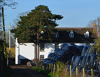 Ouse Farm February 2016