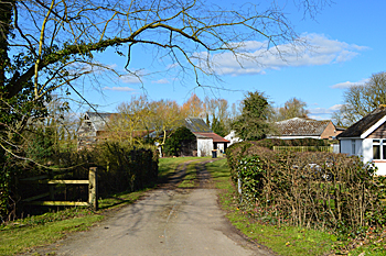 Manor Farm February 2016