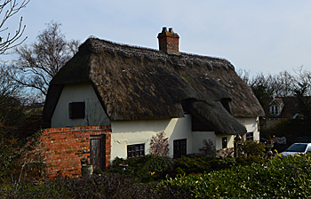 Fir Tree Cottage March 2016