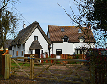 Lavender Cottage March 2016