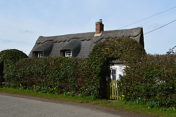 Rose Cottage, Riseley Road March 2016