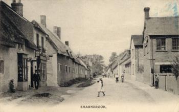 Sharnbrook Z1130-100-1-11