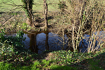 The moat at Gannocks February 2016