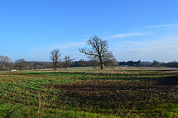 Looking from the church towards the M1 February 2016